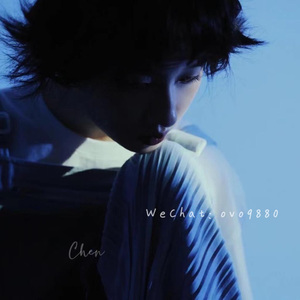 国产精品无码婷婷久久
